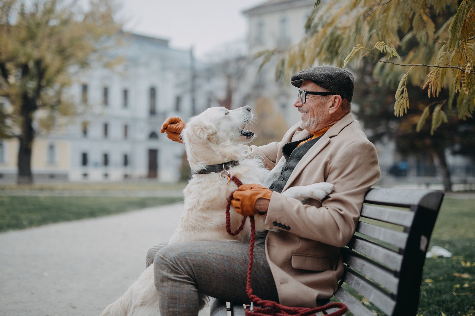 bigstock-Happy-Senior-Man-Sitting-On-Be-442841837