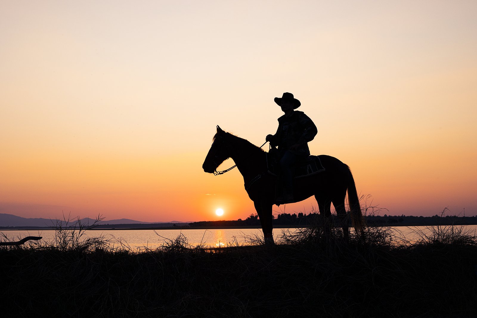 bigstock-The-Silhouette-Of-Cowboy-On-Ho-333929584